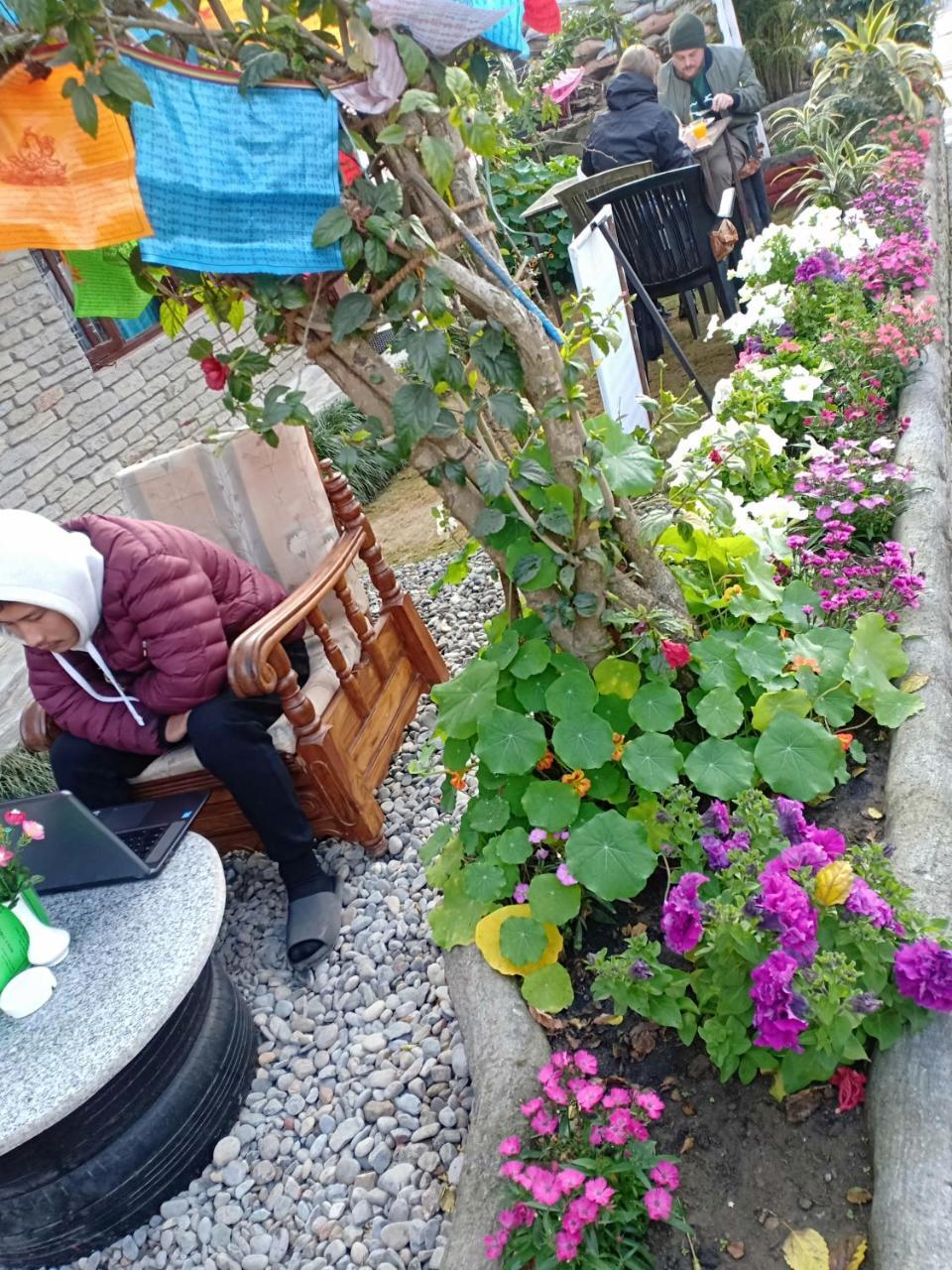 Little Pilgrim Lodge Pokhara Ngoại thất bức ảnh